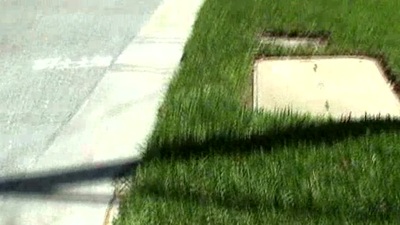 puffy nipples HD porn vídeos